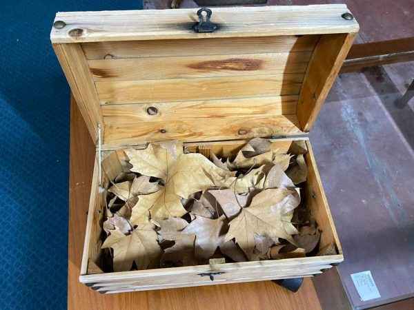 COFRE DE MADERA - Imagen 6