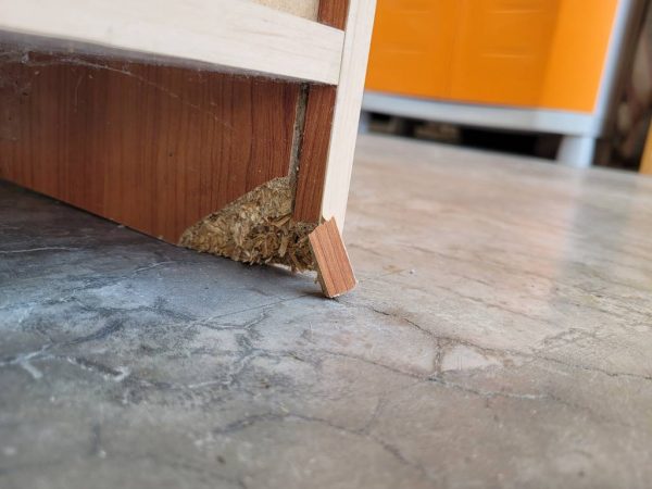 MUEBLE ZAPATERO BAJO - Imagen 7