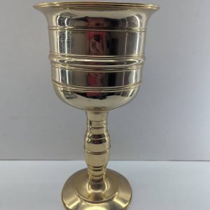 MACETERO DORADO