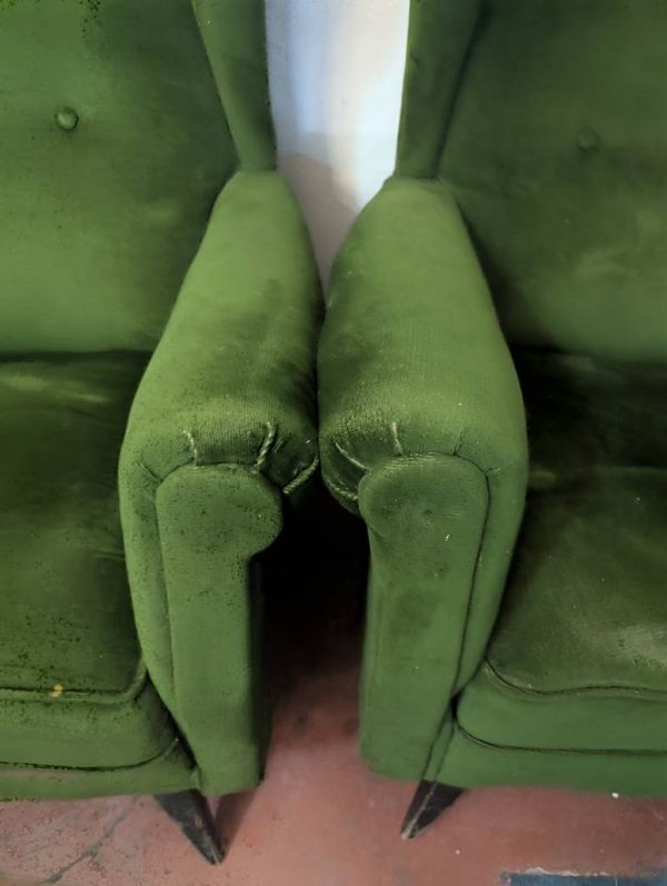 2 BUTACAS OREJERAS VERDES - Imagen 6