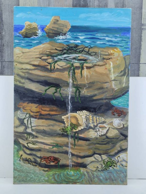 LIENZO "LA ROCA"