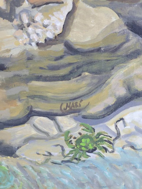 LIENZO "LA ROCA" - Imagen 3