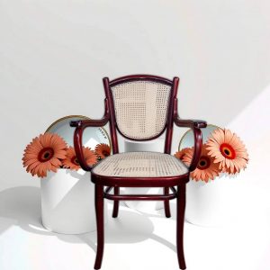 SILLA CLÁSICA