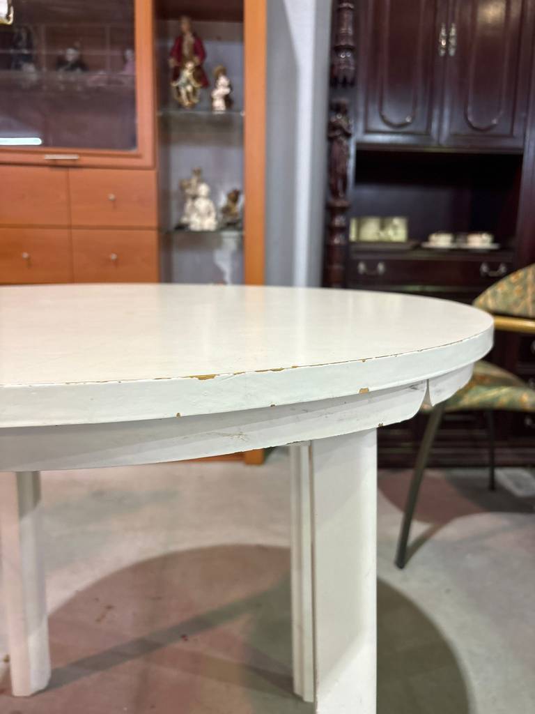 MESA REDONDA - Imagen 7