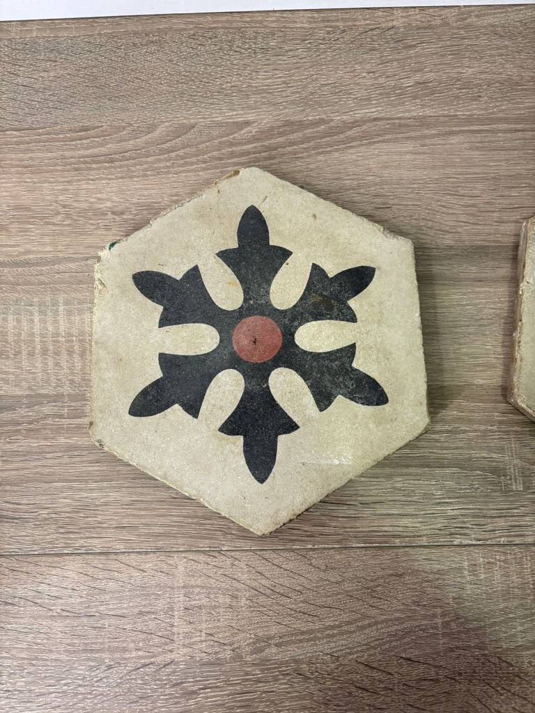 2 BALDOSAS HIDRÁULICAS - Imagen 5