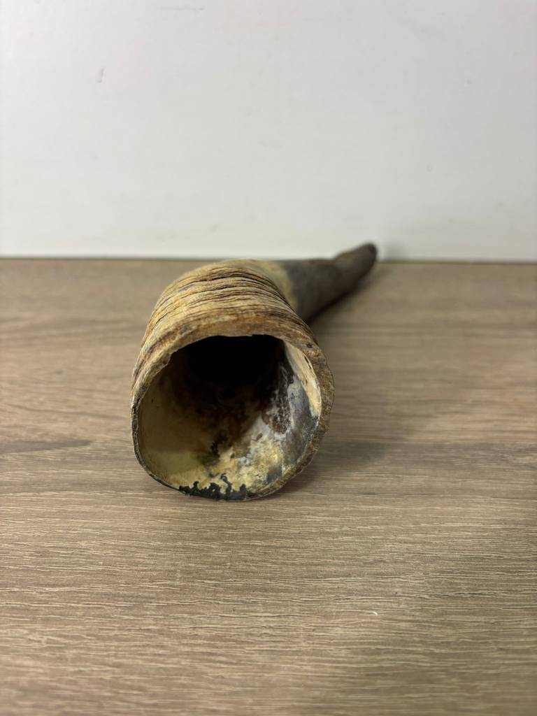 CUERNO MEDIANO - Imagen 2