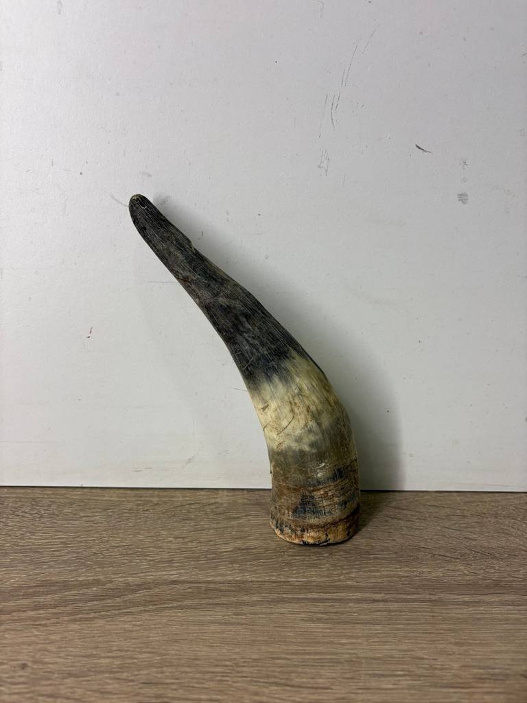 CUERNO MEDIANO - Imagen 5