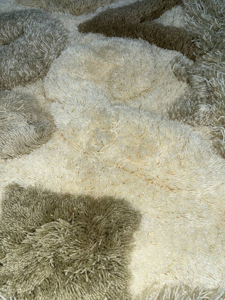 ALFOMBRA MULLIDA - Imagen 5