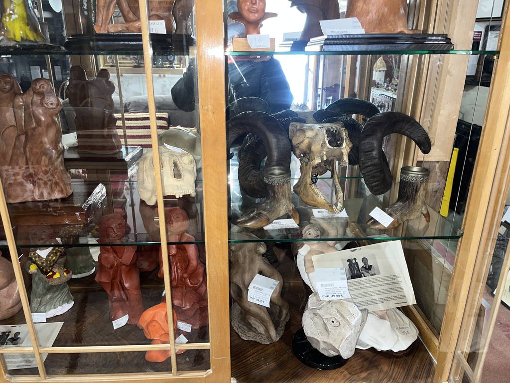 VITRINA CLÁSICA - Imagen 3