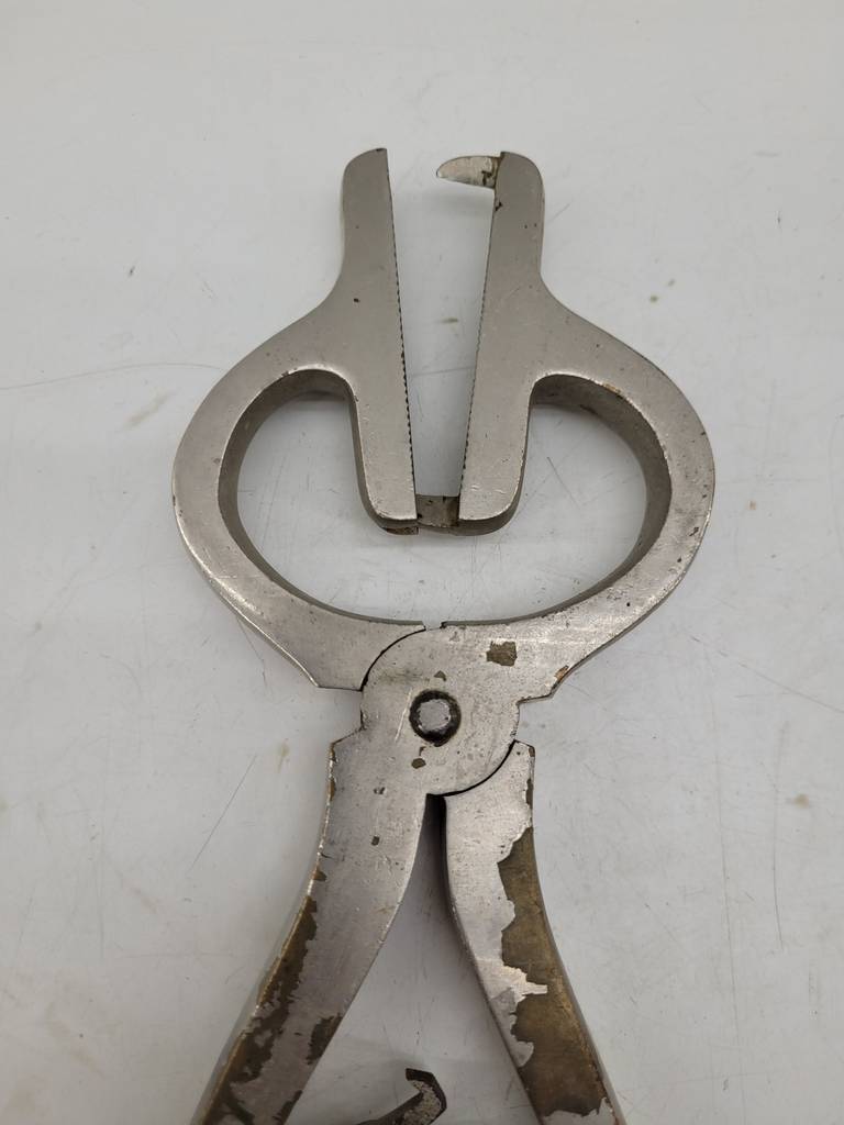 PINZAS DE GANADERÍA - Imagen 2