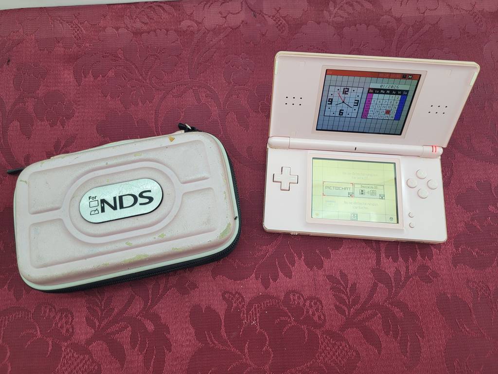 NINTENDO DS