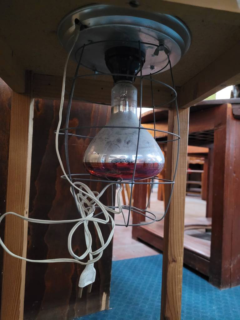 MESA CAMILLA CON LÁMPARA - Imagen 5