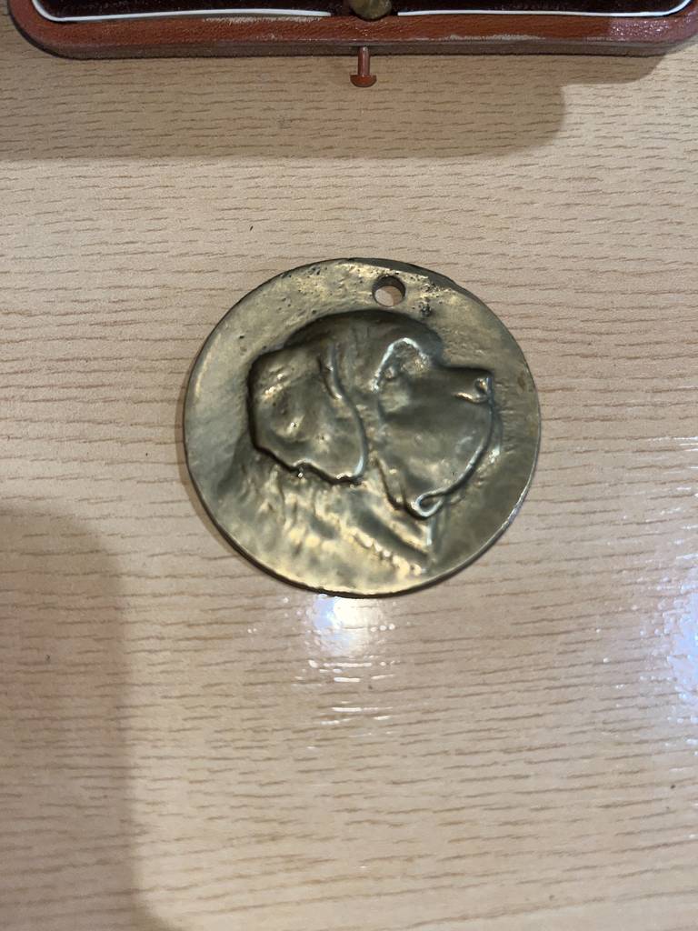 MEDALLA DE BRONCE - Imagen 5