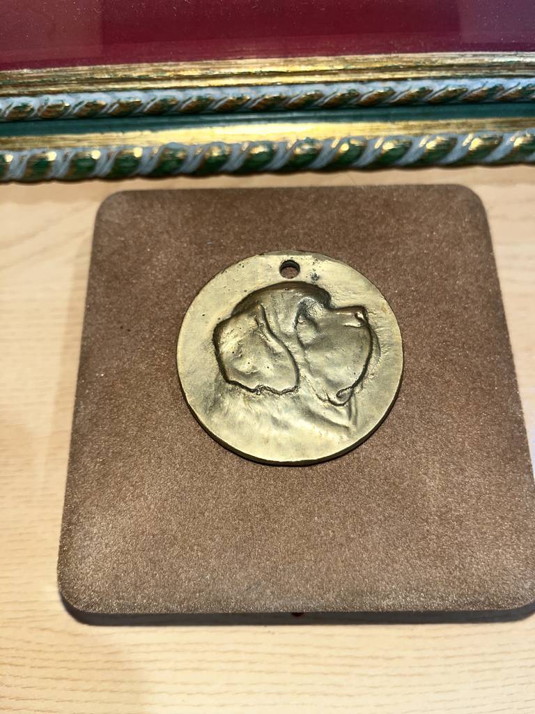 MEDALLA DE BRONCE - Imagen 2