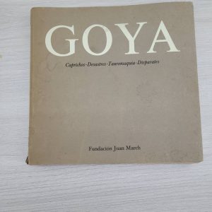 LIBRO DE GOYA