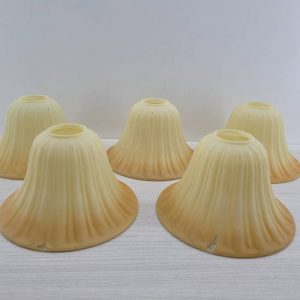 5 TULIPAS ACAMPANADAS