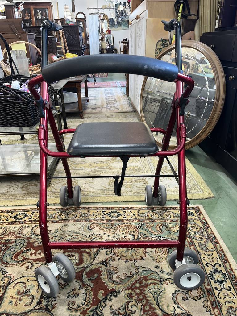 ANDADOR CON RUEDAS - Imagen 3