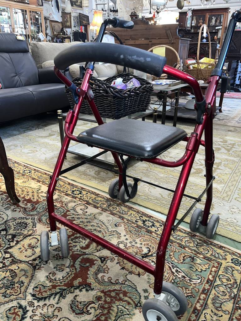 ANDADOR CON RUEDAS - Imagen 2