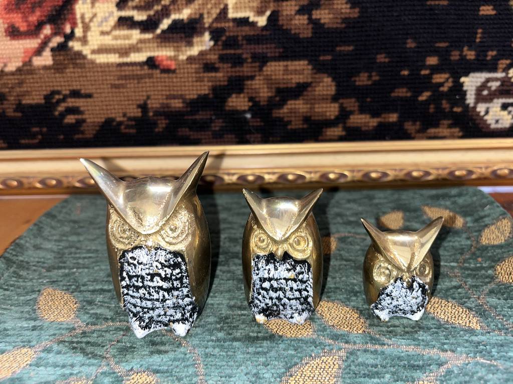 3 PEQUEÑOS BÚHOS - Imagen 3