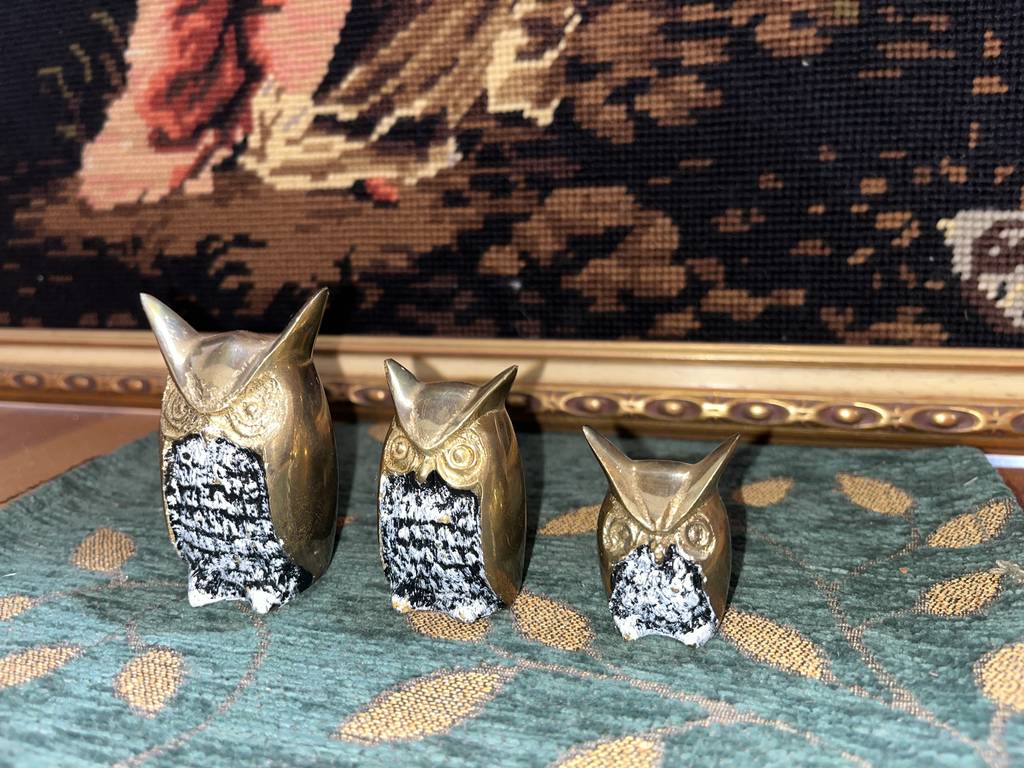 3 PEQUEÑOS BÚHOS - Imagen 4