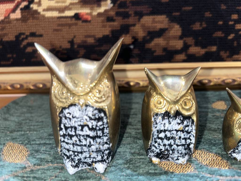 3 PEQUEÑOS BÚHOS - Imagen 6