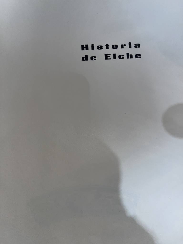 LIBRO DE HISTORIA DE ELCHE - Imagen 3