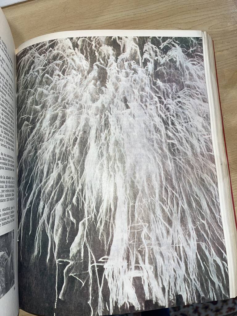 LIBRO DE HISTORIA DE ELCHE - Imagen 6